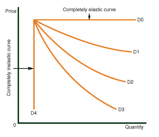   Elasticity of the Supply and Demand Curves