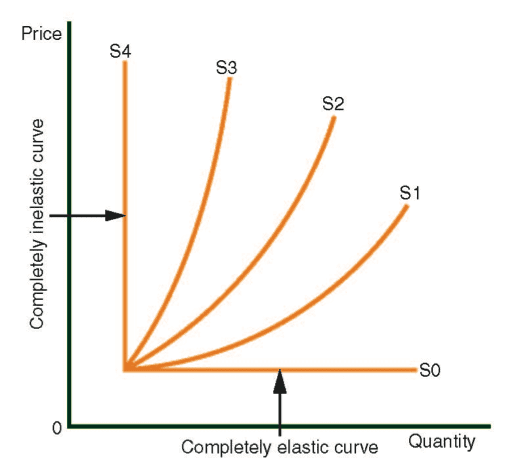   Elasticity of the Supply and Demand Curves