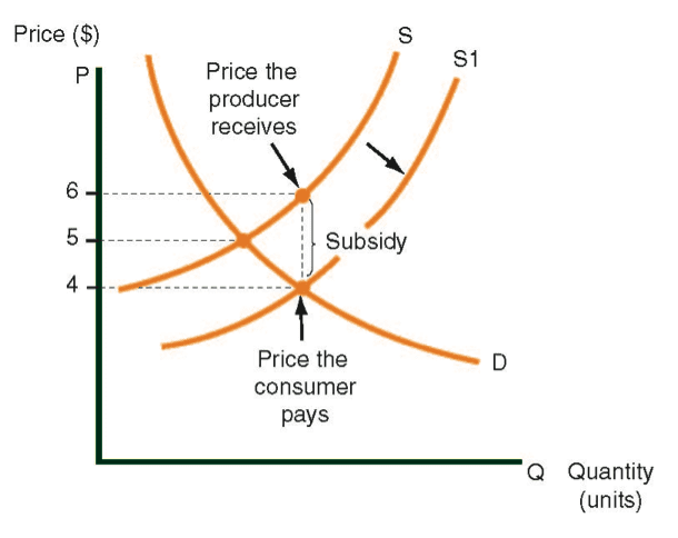Supply curve before and after a subsidy is granted